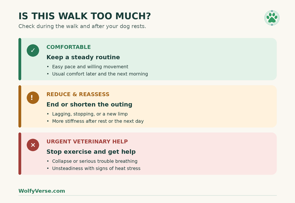 Signs a senior dog’s exercise is comfortable, should be reduced, or needs urgent veterinary attention.