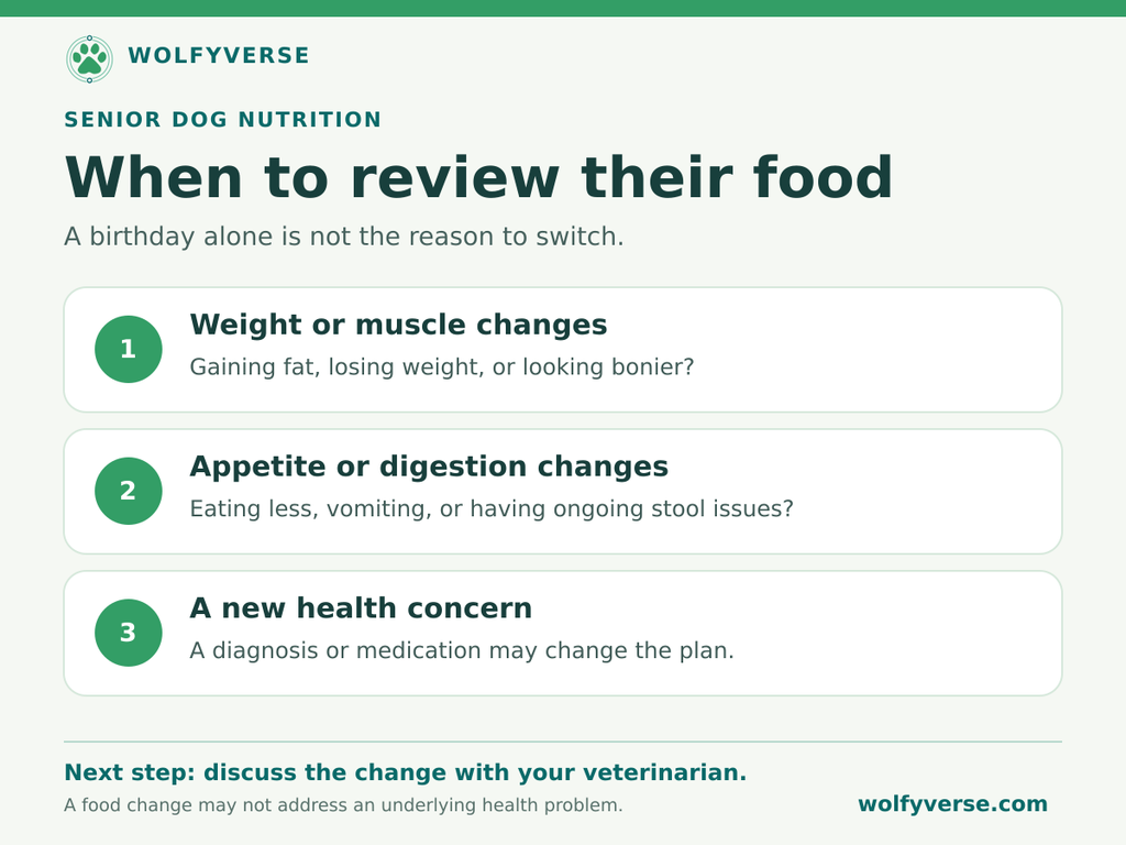 Three reasons to review a senior dog’s food with a veterinarian: weight or muscle changes, appetite or digestion changes, and a new health concern.